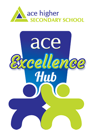 Ace Excellence Hub